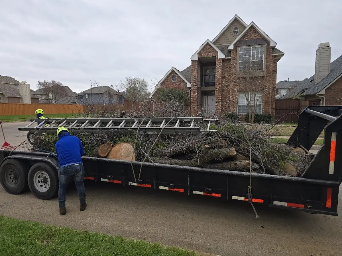 Expert Tree Pest Control with proper safety equipment in Blanchard